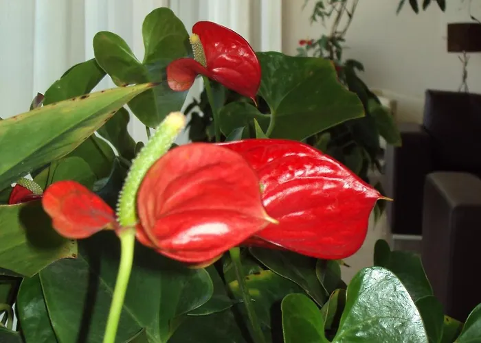 Ξενοδοχείο For 4*