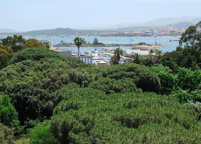 Ξενοδοχείο For Όλμπια